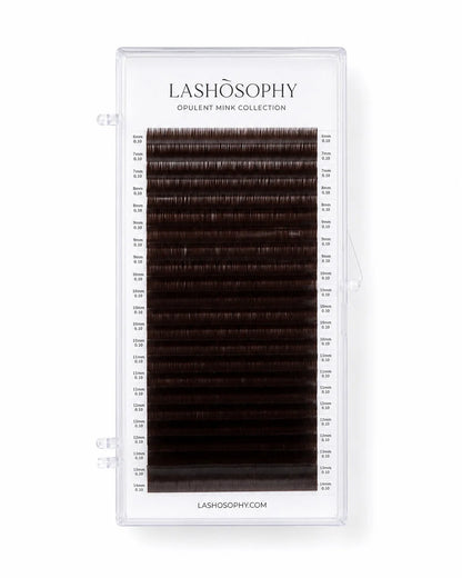 Dark Chocolate False Eyelashes | Single-Length Tray LASHÒSOPHY