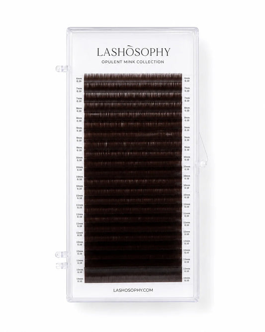 Dark Chocolate False Eyelashes | Single-Length Tray LASHÒSOPHY