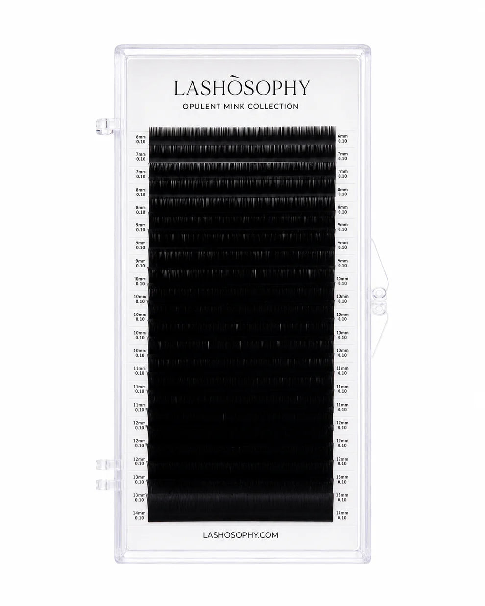 Black Collection False Eyelashes | Single-Length Tray LASHÒSOPHY