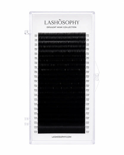 Black Collection False Eyelashes | Single-Length Tray LASHÒSOPHY