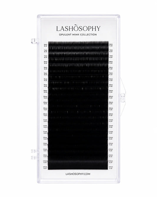 Black Collection False Eyelashes | Single-Length Tray LASHÒSOPHY
